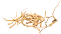 40a52349-b1ce-418b-9f40-e9d3bba7c01f.png