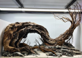 red moore wood petsco.png