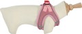 prod_7163848_1_1be47db91_large.jpg