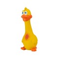 LATEX_DUCK (2)-small.jpg