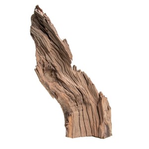 KORZEŃ Jagged Wood 30-45cm Naturalny korzeń do akwarium