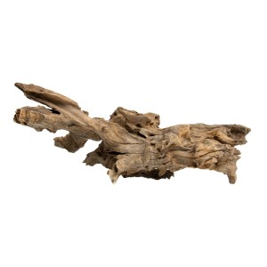 KORZEŃ Jagged Wood 45-55cm Naturalny korzeń do akwarium 