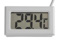 AG195B_ag195b_13.jpg