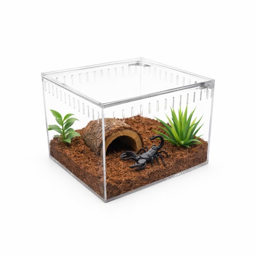 terrarium-akrylowe-13x11x12cm (4).jpeg