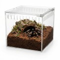 terrarium-akrylowe-13x11x12cm (1).jpg
