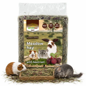 NatureLand SIANO z burakiem dla gryzoni królika świnki morskiej 650g