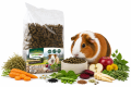 ChatGPT Image 28 cze 2026, 12_33_32.png