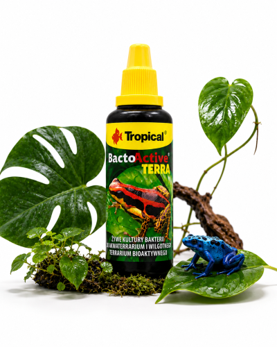bacto active terra petsco