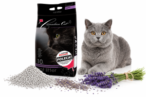 Canadian Cat Lawendowy bentonitowy żwirek dla wymagających kotów 10L