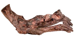 ZOLUX Ozdoba do akwarium korzeń Mangrowca - rozm S