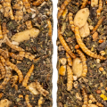 img15814706tropifit-naturals-sticks-insect-140g.png