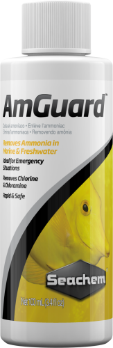 0775-AmGuard-100-mL.png