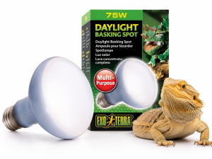 EXO TERRA ŻARÓWKA GRZEWCZA NEODYMOWA 75W E27