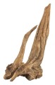 pgddwspgddws,3.jpg