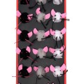 CAT-MOUSEMIX-BOX 3_WEB.jpg